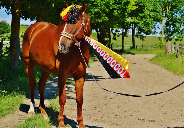 這樣的報導 這樣的報導