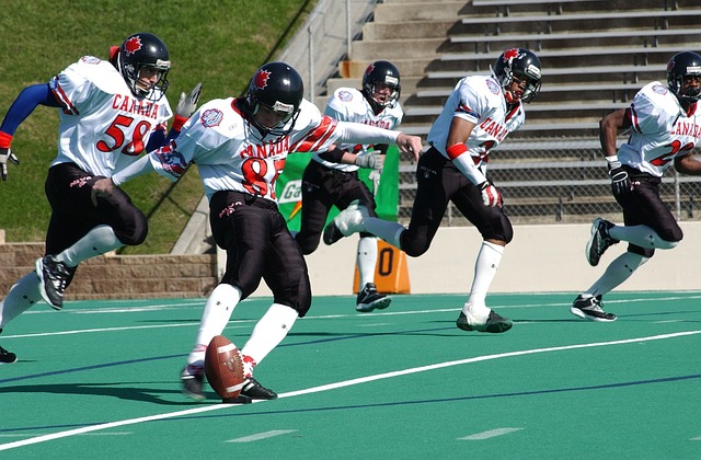 的多样性 的多样性