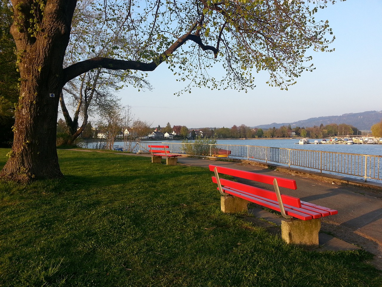 了高超的脚 了高超的脚