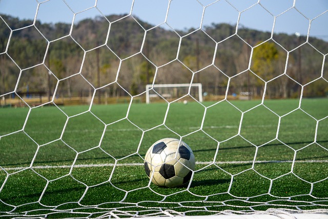 中場厄德高 中場厄德高